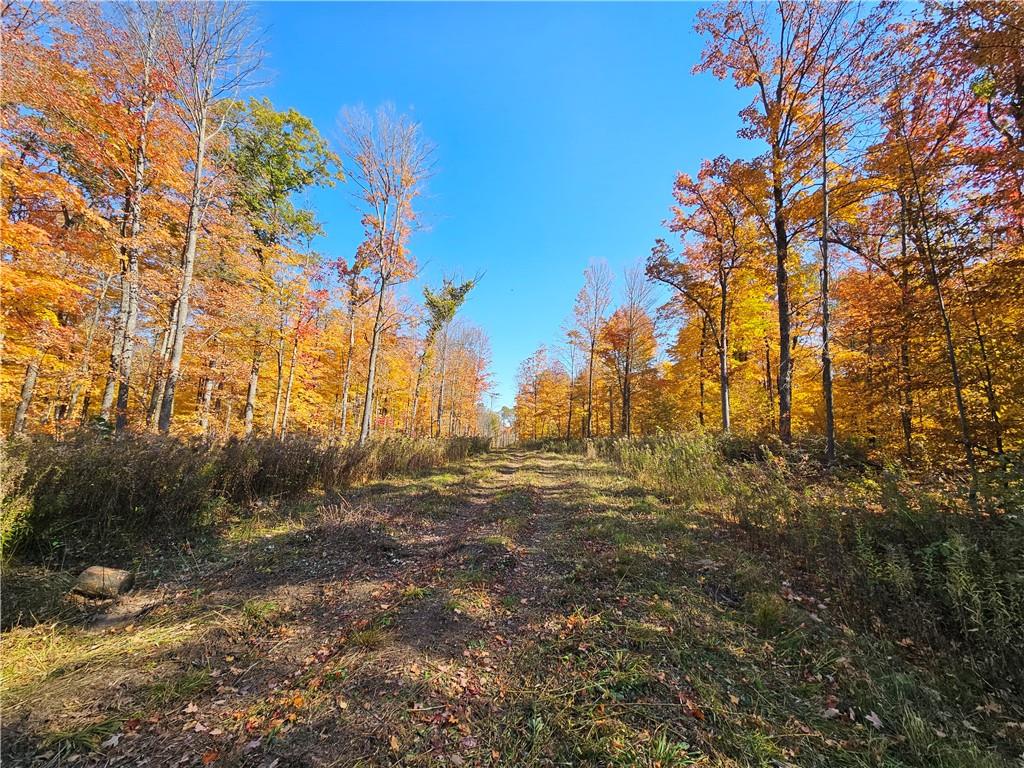 0 10 1/2 Street Barron WI 54812 1586717 image1