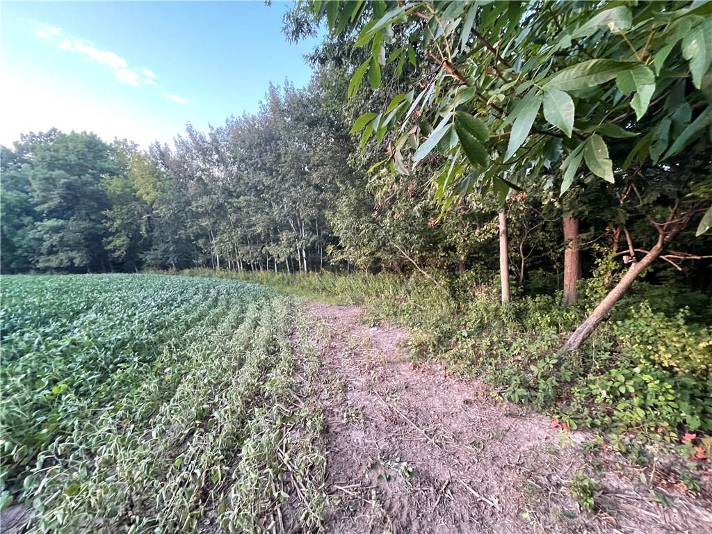 0 110th Avenue Plum City WI 54761 1560715 image1