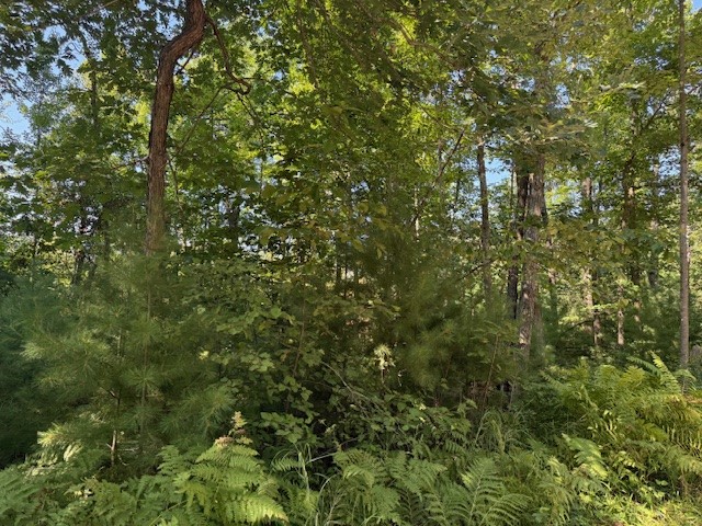 0 137th New Auburn WI 54729 - Long Lake 1595070 image11