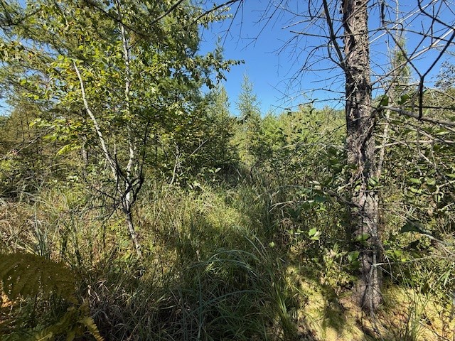 0 137th New Auburn WI 54729 - Long Lake 1595070 image12