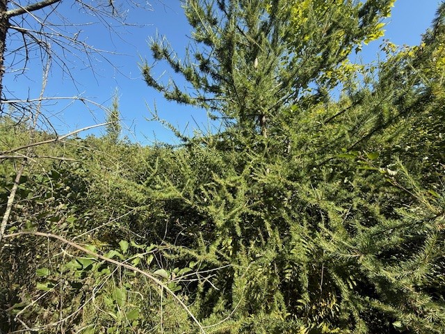 0 137th New Auburn WI 54729 - Long Lake 1595070 image13