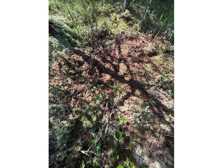 0 137th New Auburn WI 54729 - Long Lake 1595070 image14