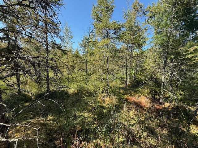 0 137th New Auburn WI 54729 - Long Lake 1595070 image15