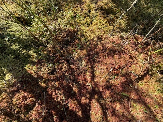 0 137th New Auburn WI 54729 - Long Lake 1595070 image16