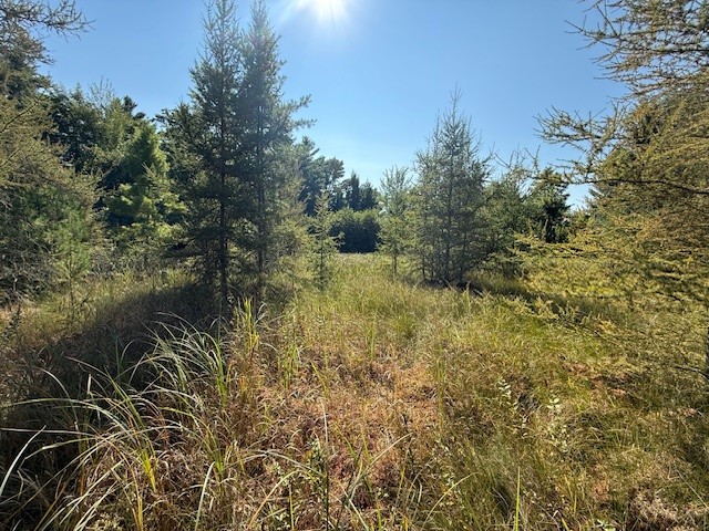 0 137th New Auburn WI 54729 - Long Lake 1595070 image17