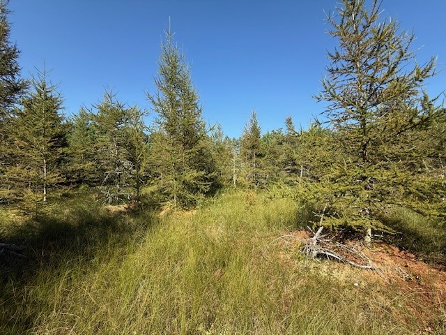 0 137th New Auburn WI 54729 - Long Lake 1595070 image18