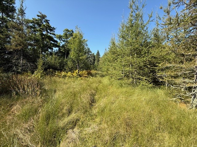 0 137th New Auburn WI 54729 - Long Lake 1595070 image19