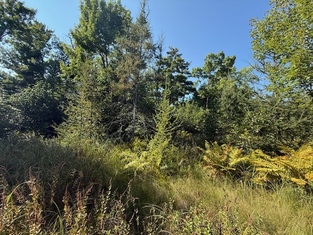 0 137th New Auburn WI 54729 - Long Lake 1595070 image21