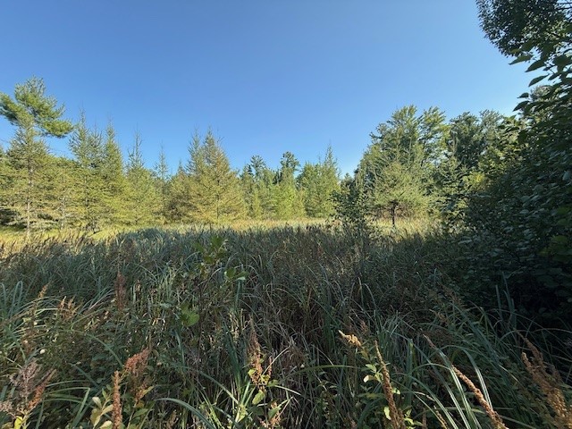 0 137th New Auburn WI 54729 - Long Lake 1595070 image22