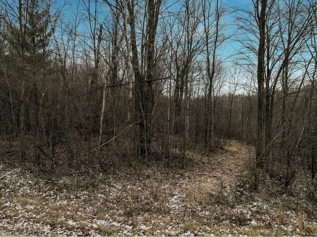 0 155th Avenue Boyd WI 54726 1579027 image1