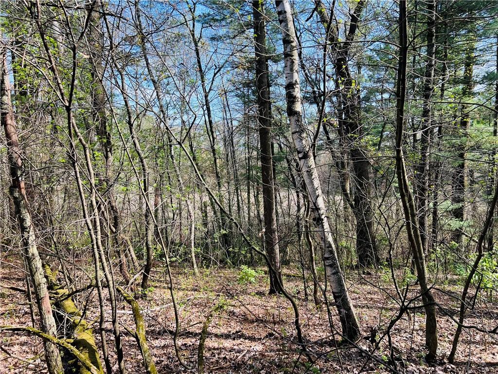 0 16 1/2 Avenue Cameron WI 54822 - Cranberry 1582618 image1