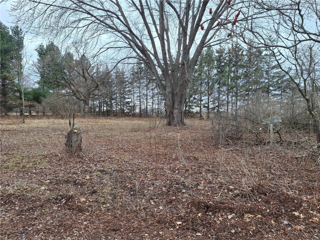 0 164th Street Chippewa Falls WI 54729 1592059 image1