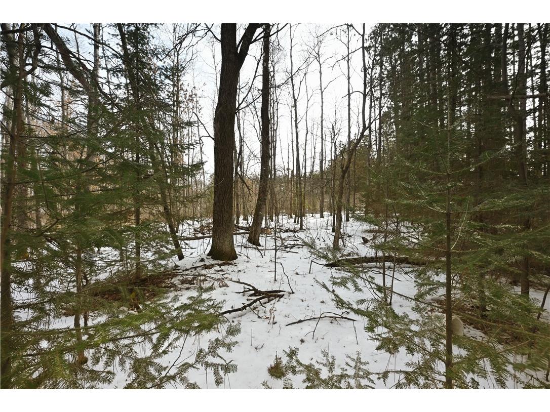 0 1st Street Trego WI 54888 1590132 image1