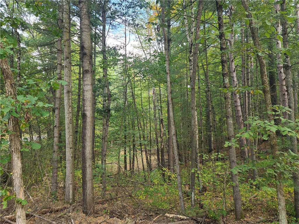 0 21 7/8 Street Cameron WI 54822 1590204 image10