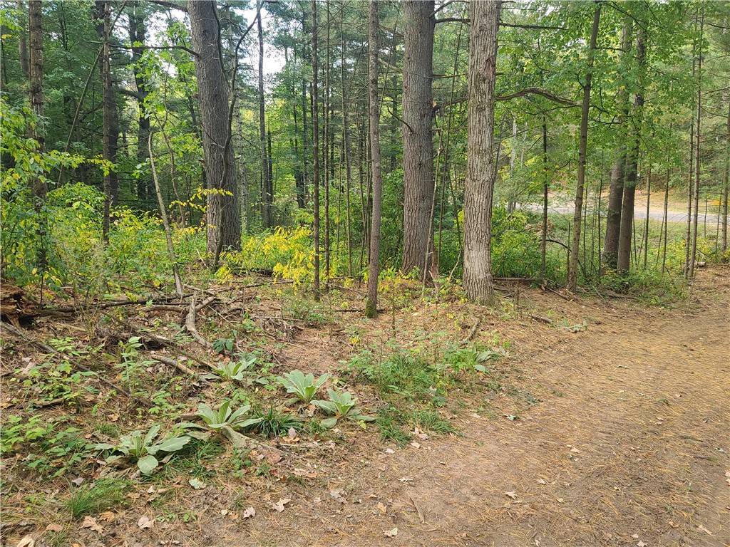 0 21 7/8 Street Cameron WI 54822 1590204 image11