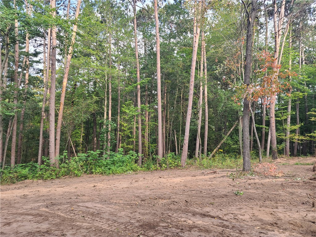 0 21 7/8 Street Cameron WI 54822 1590204 image16