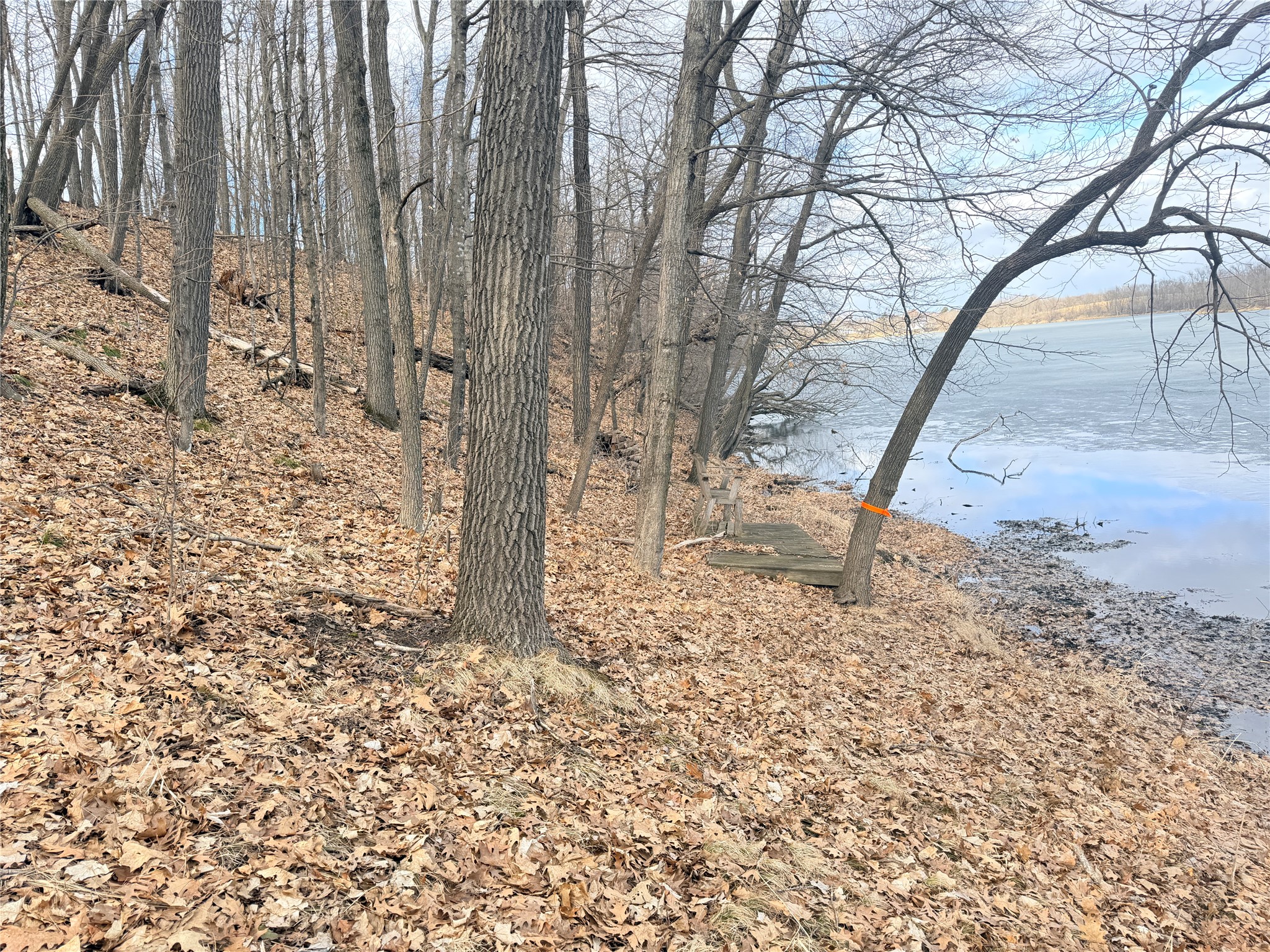 0 216th Street Luck WI 54853 - Long Trade 1599355 image3