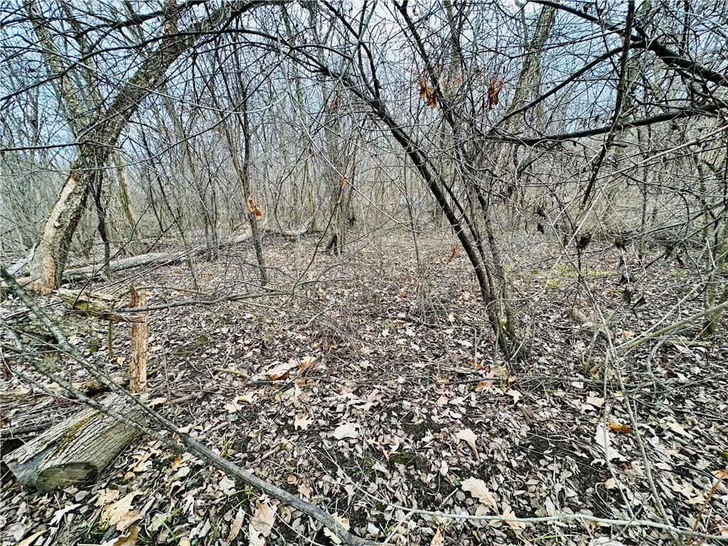 0.22 acres Sunfish Drive Trempealeau WI 54661 1579847 image1