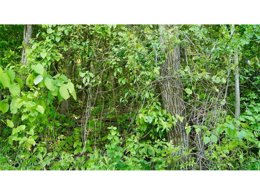 0 230th Avenue, Eau Galle, WI 54737 MLS 1554353 Edina Realty