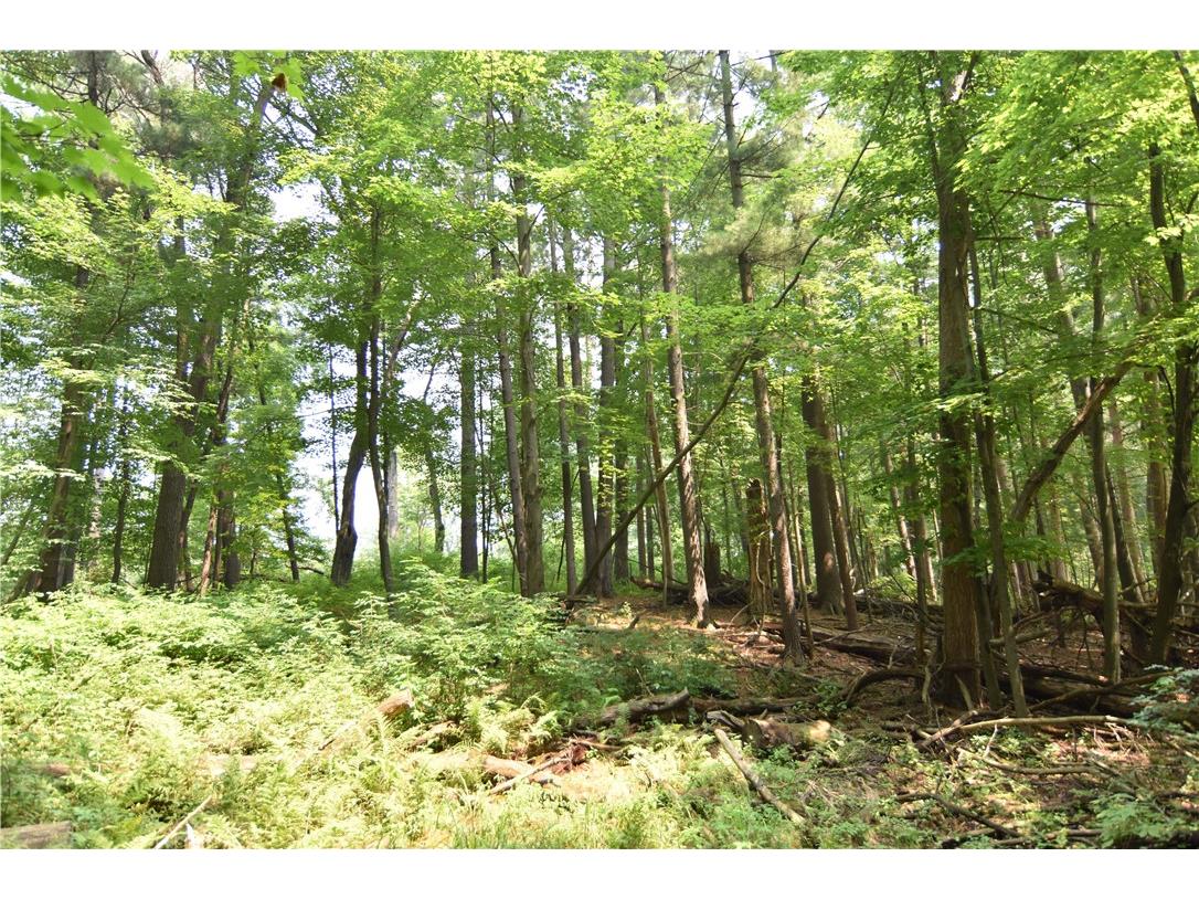 0 24 3/4 Street Chetek WI 54728 - Pokegema 1594066 image3