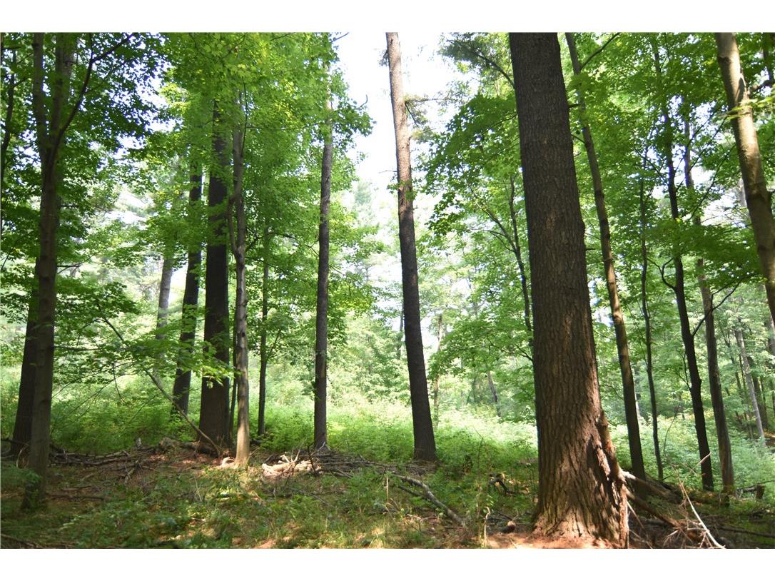 0 24 3/4 Street Chetek WI 54728 - Pokegema 1594066 image4