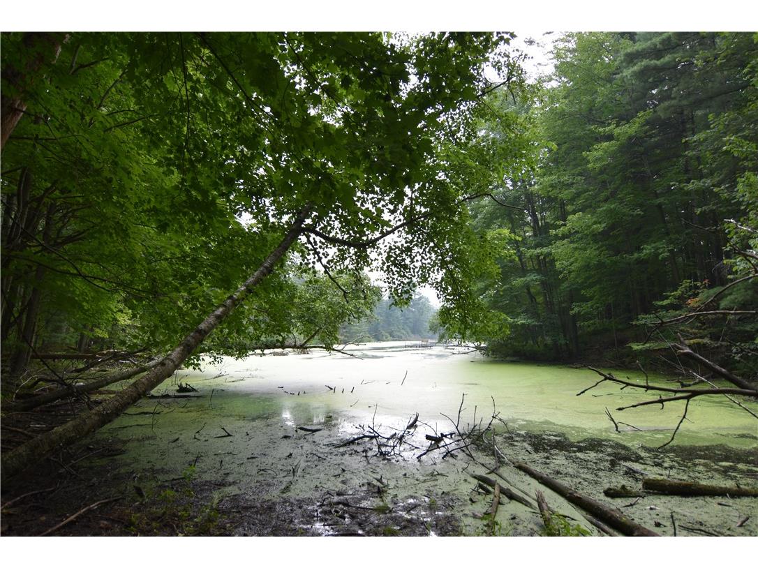 0 24 3/4 Street Chetek WI 54728 - Pokegema 1594066 image6