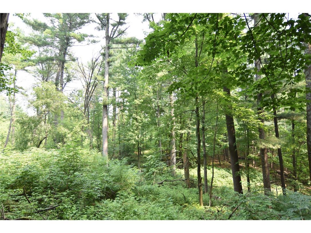 0 24 3/4 Street Chetek WI 54728 - Pokegema 1594066 image7