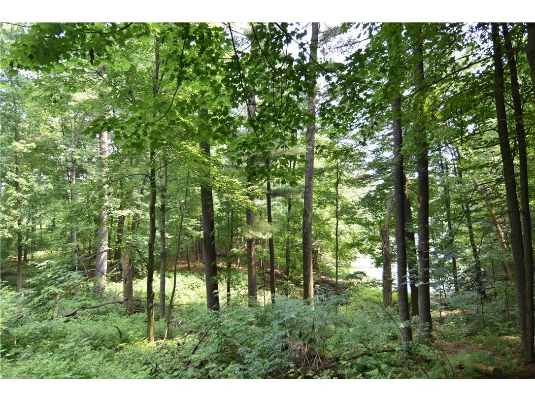 0 24 3/4 Street Chetek WI 54728 - Pokegema 1594066 image9