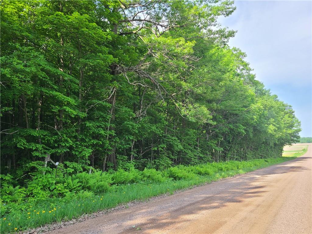0 24th Ave. Rice Lake WI 54868 1573791 image1