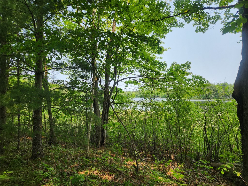 0 25 1/2 Avenue Cumberland WI 54829 - Big Dummy Lake 1592366 image1