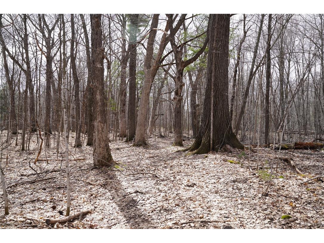 0 26 1/2 Avenue Cumberland WI 54829 1571108 image1