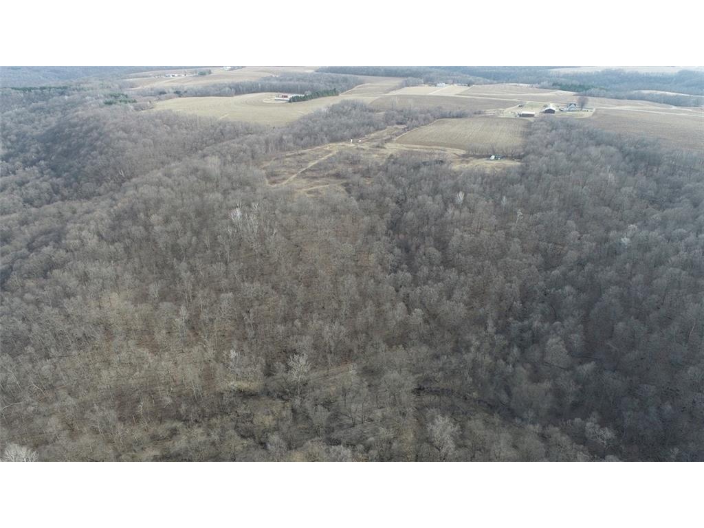 0 270th Avenue Maiden Rock WI 54750 1580250 image1