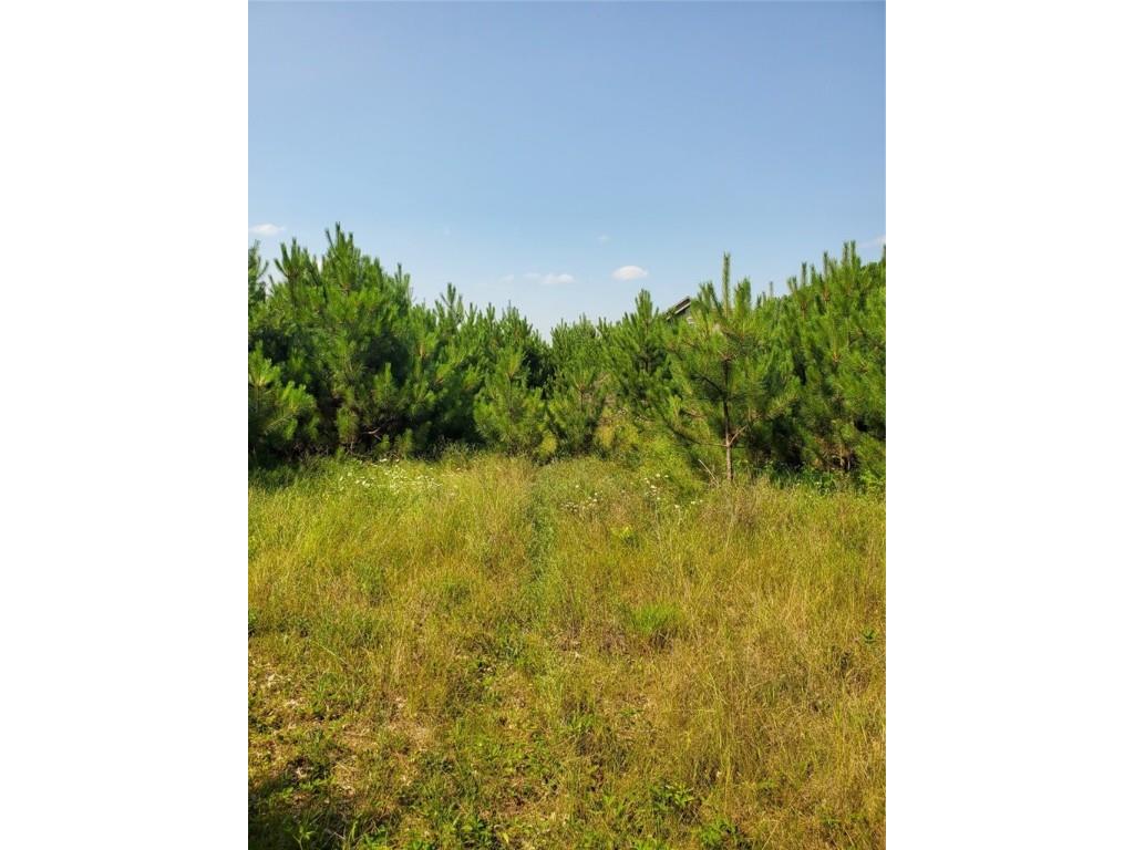 0 275th Avenue Holcombe WI 54745 1593657 image1