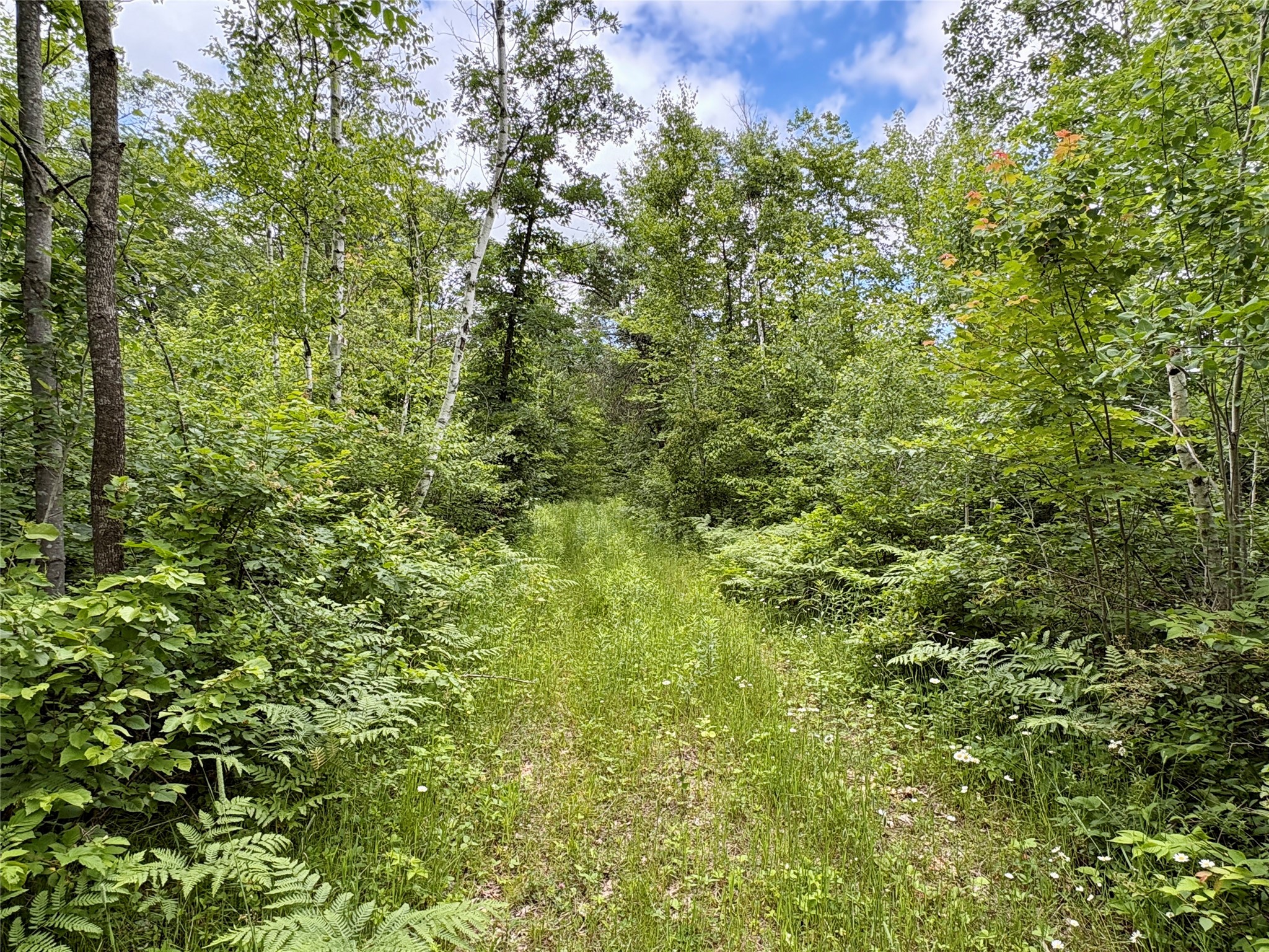 0 27th Street Chetek WI 54822 1602632 image22