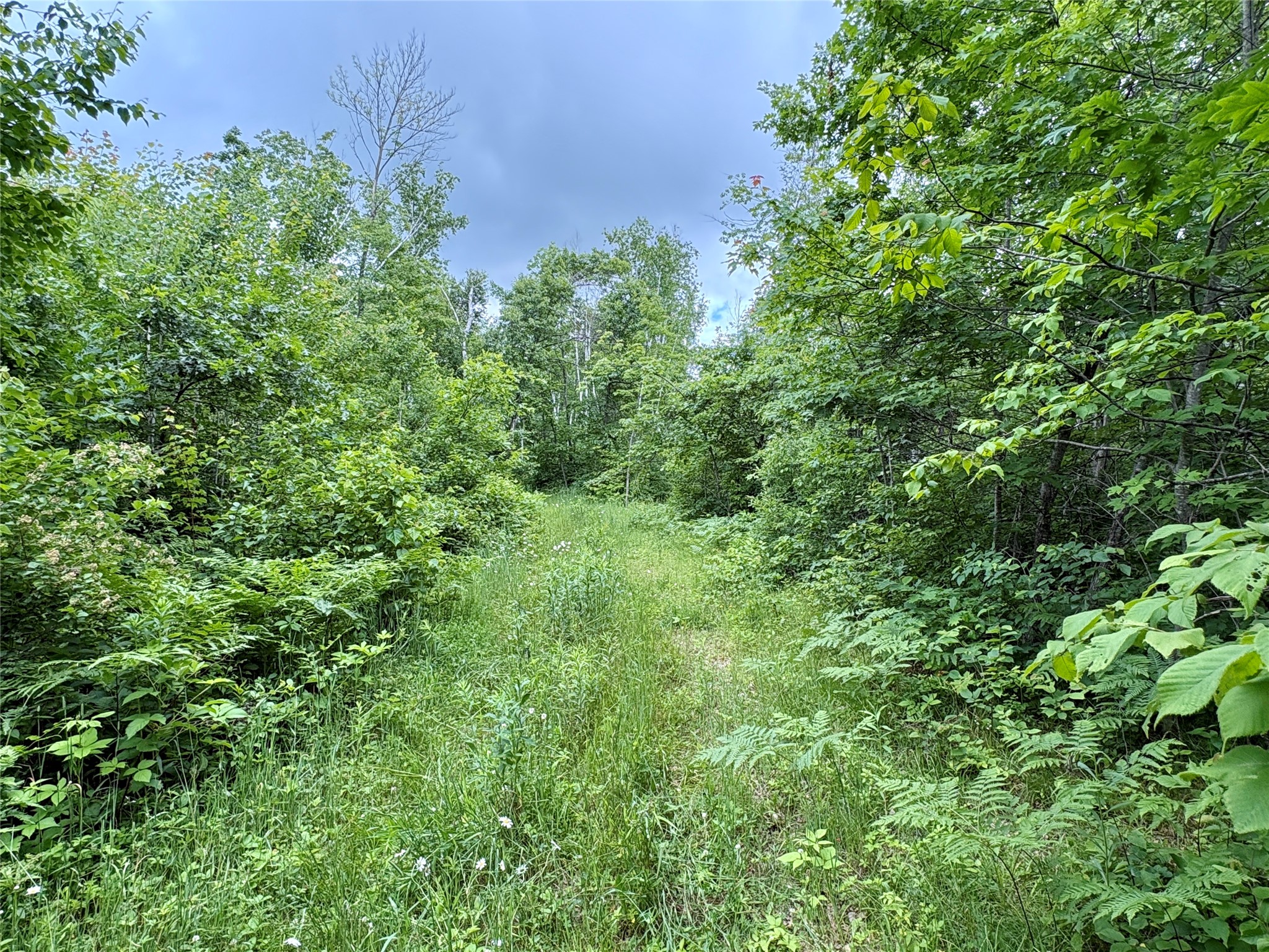 0 27th Street Chetek WI 54822 1602632 image23
