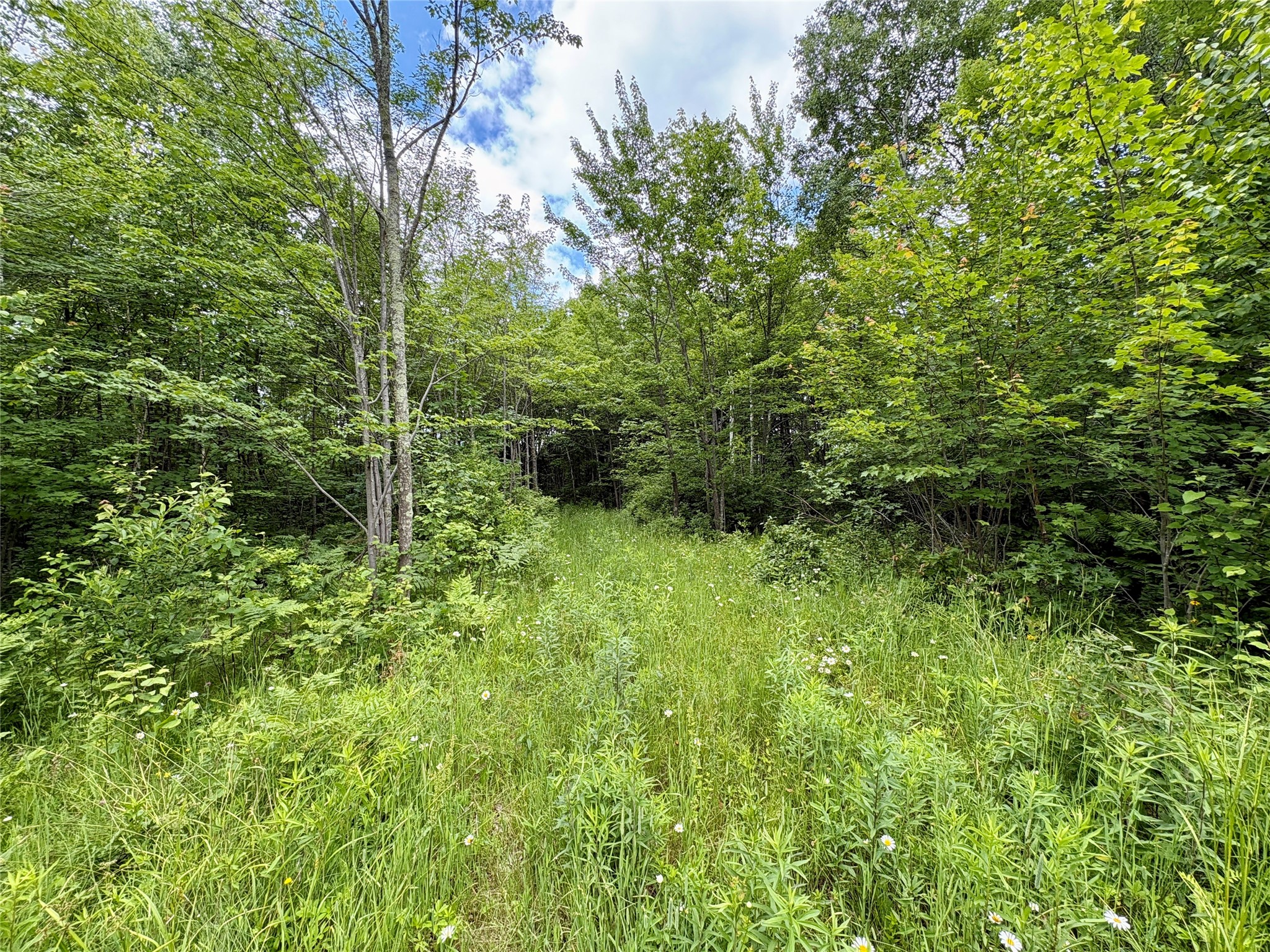 0 27th Street Chetek WI 54822 1602632 image30