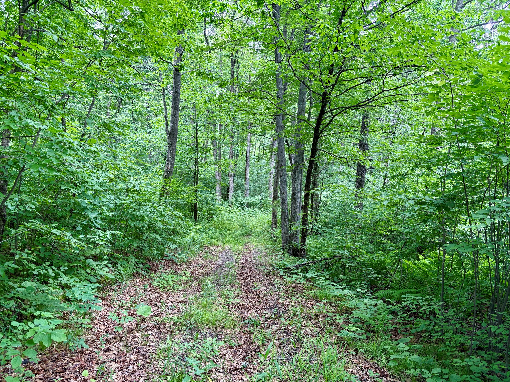 0 27th Street Chetek WI 54822 1602632 image33