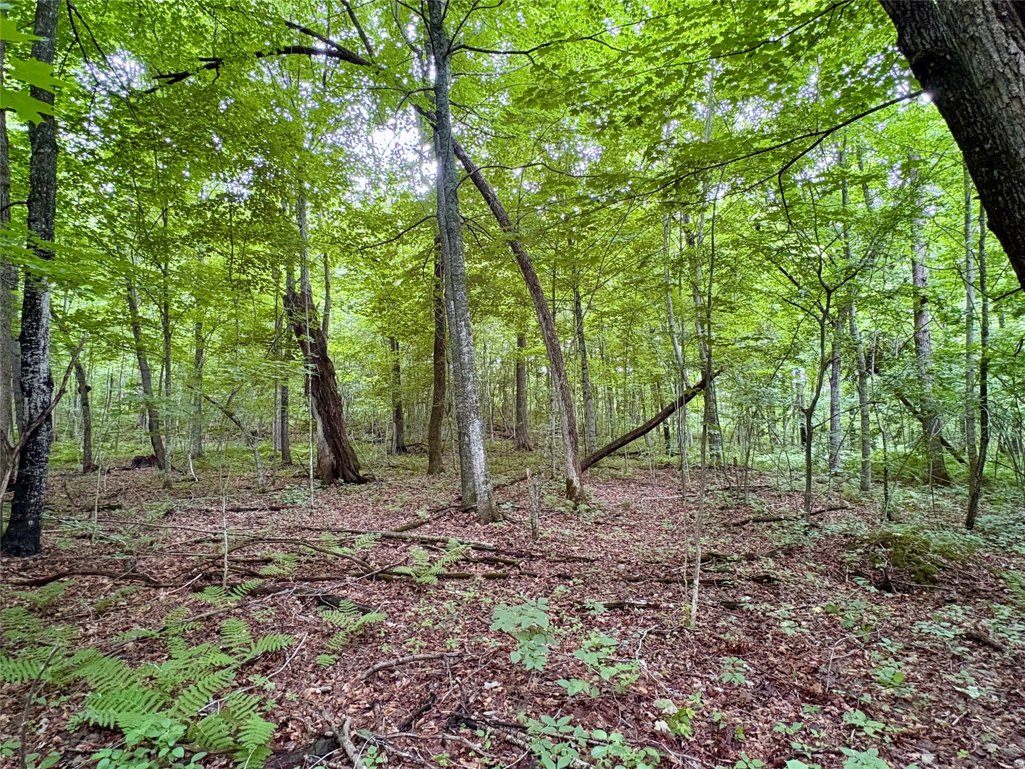0 27th Street Chetek WI 54822 1602632 image37
