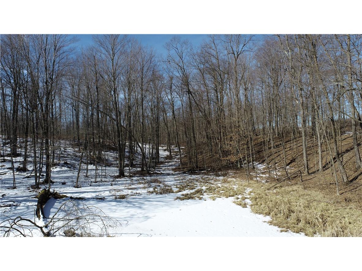 0 290th Avenue New Auburn WI 54757 1589236 image11