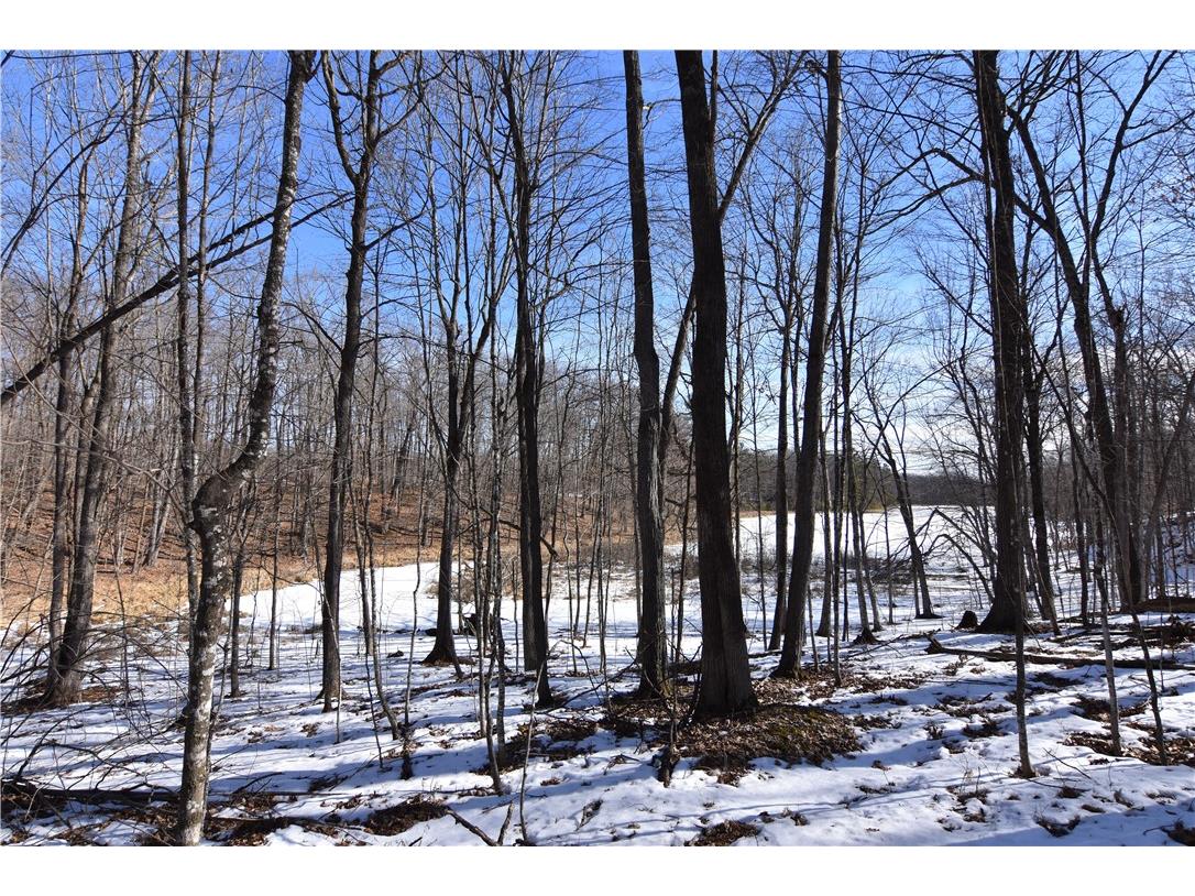 0 290th Avenue New Auburn WI 54757 1589236 image3