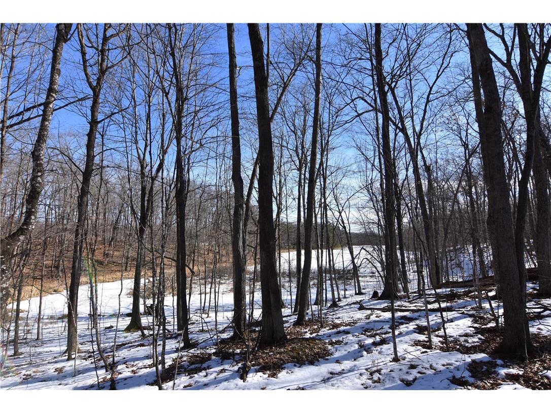 0 290th Avenue New Auburn WI 54757 1589236 image6