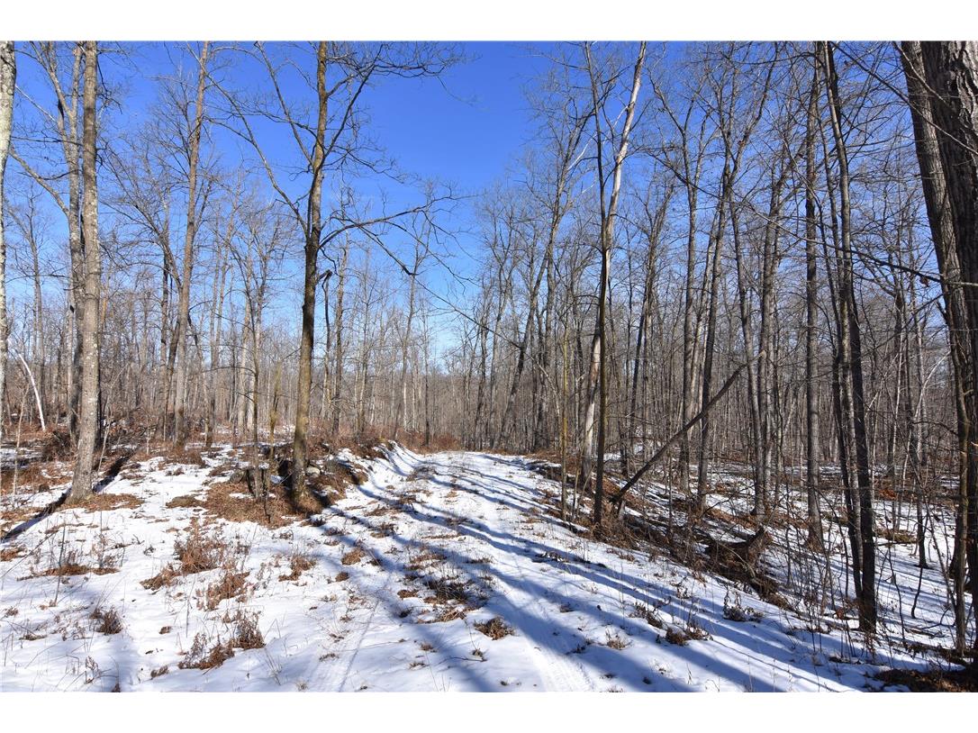 0 290th Avenue New Auburn WI 54757 1589236 image9