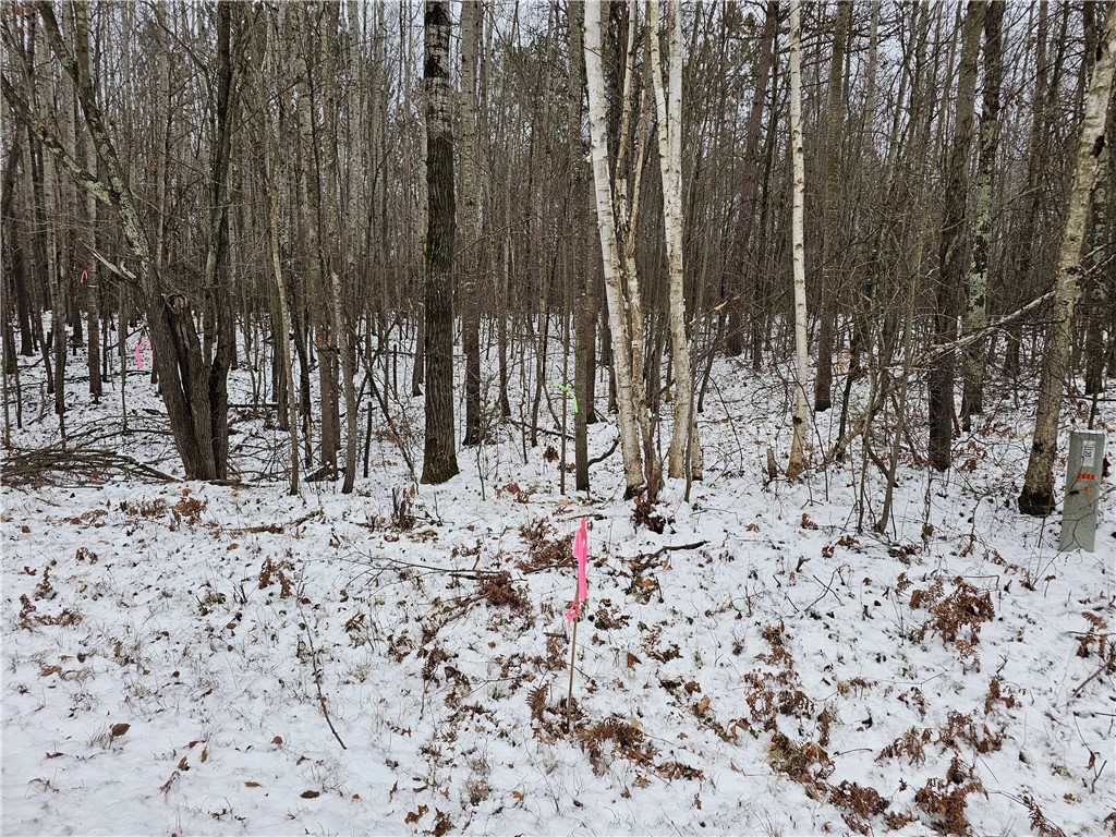 0 295th Street Holcombe WI 54745 1589041 image1