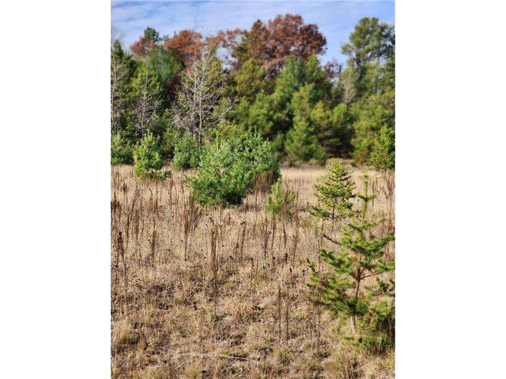 0 34th Avenue Chippewa Falls WI 54729 - Chippewa 1588591 image7