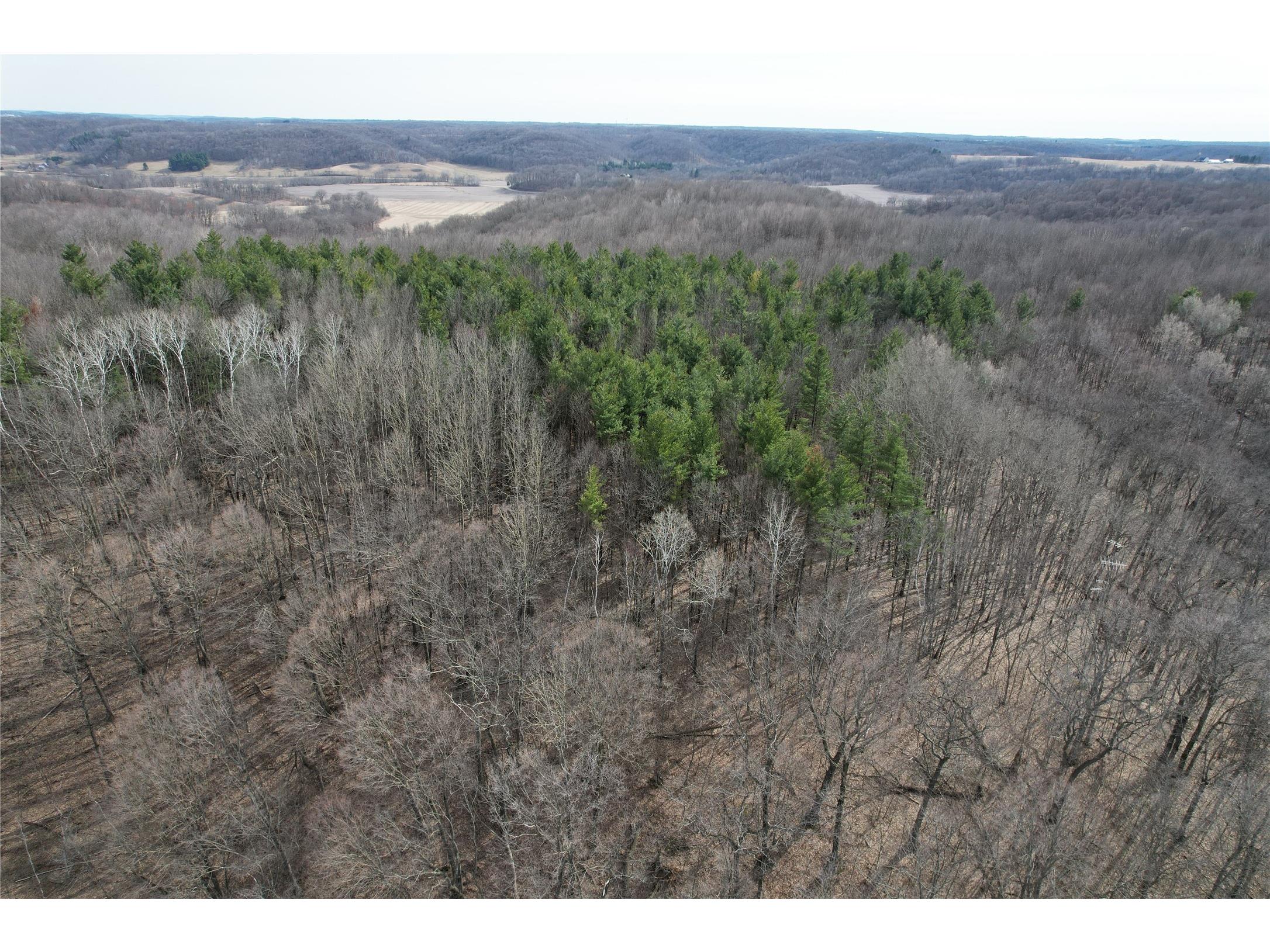 0 3rd Avenue E Knapp WI 54749 1600456 image3