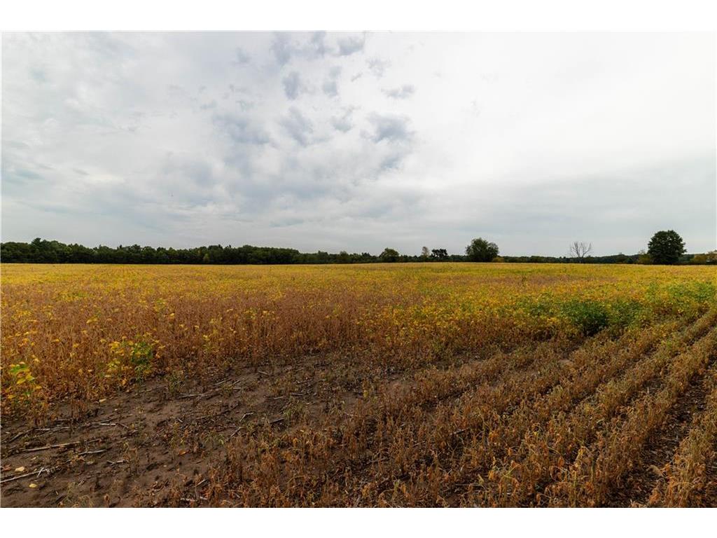 0 40th Ave Chippewa Falls WI 54729 - Paint 1576632 image1