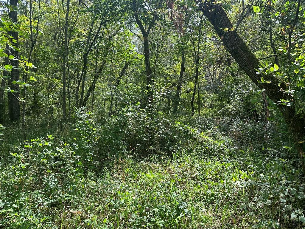 0 410th Avenue Eau Claire WI 54703 - Elk Creek 1585802 image1