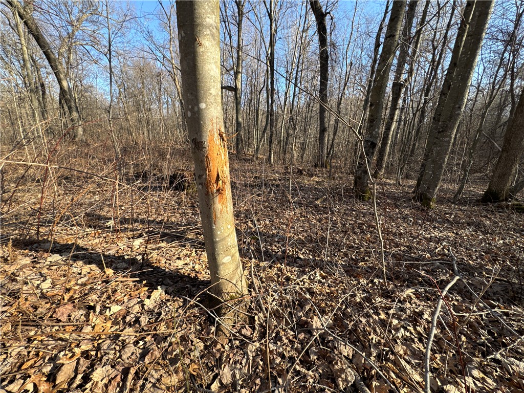 0 50th Avenue Osceola WI 5401 1590128 image1