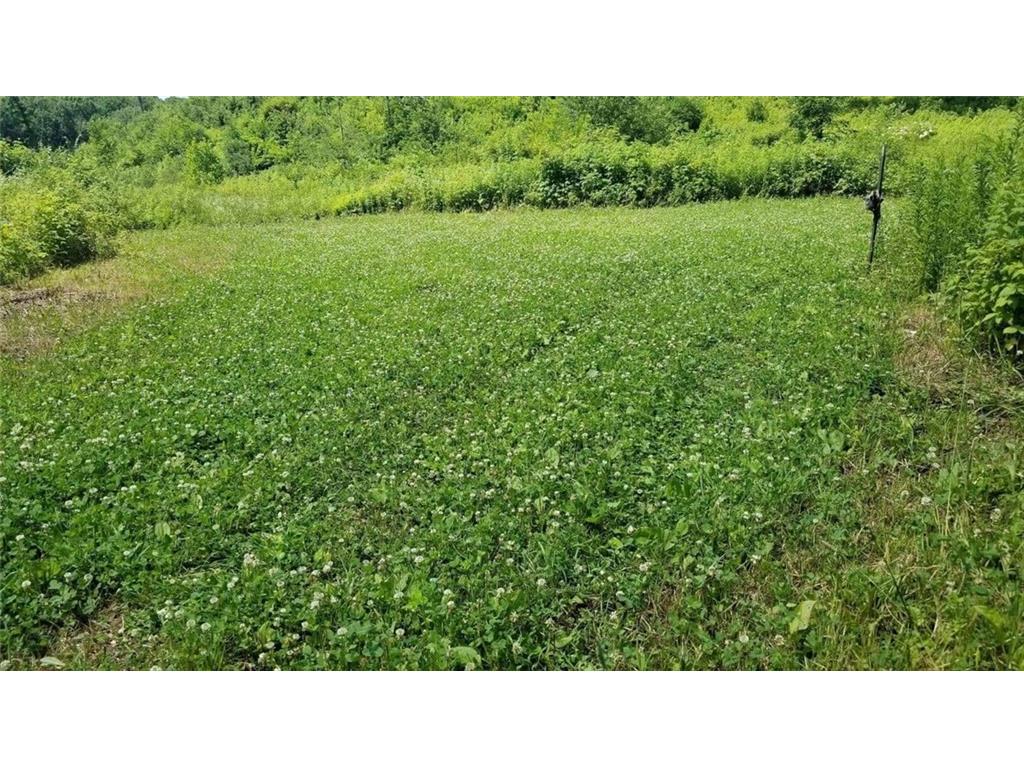 0 620th Street, Ridgeland, WI 54763 MLS 1546878 Edina Realty