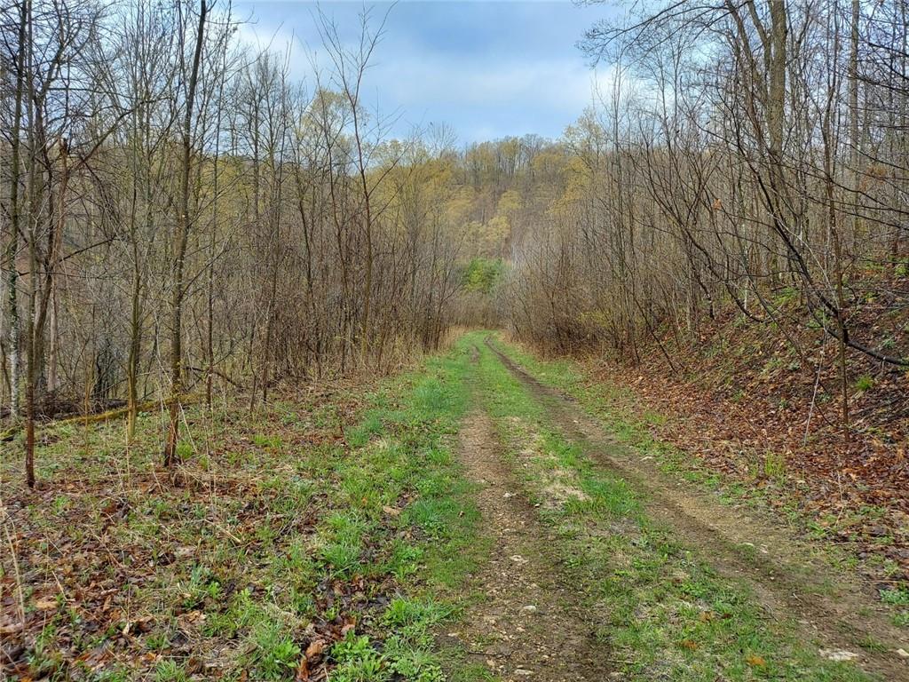 0 640th Street, Knapp, WI 54749 MLS 1553673 Edina Realty